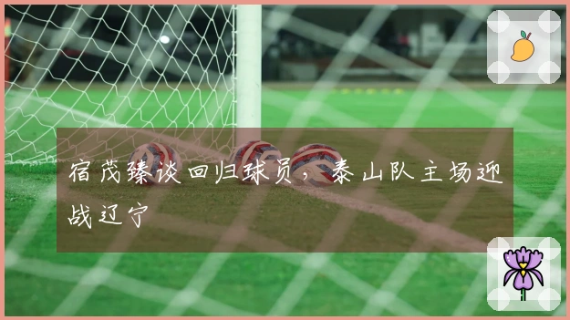 宿茂臻谈回归球员，泰山队主场迎战辽宁