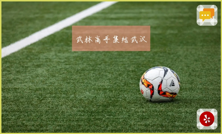 武林高手集结武汉