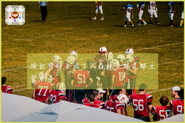 埃杜将辞去诺丁汉森林全球足球主管职务